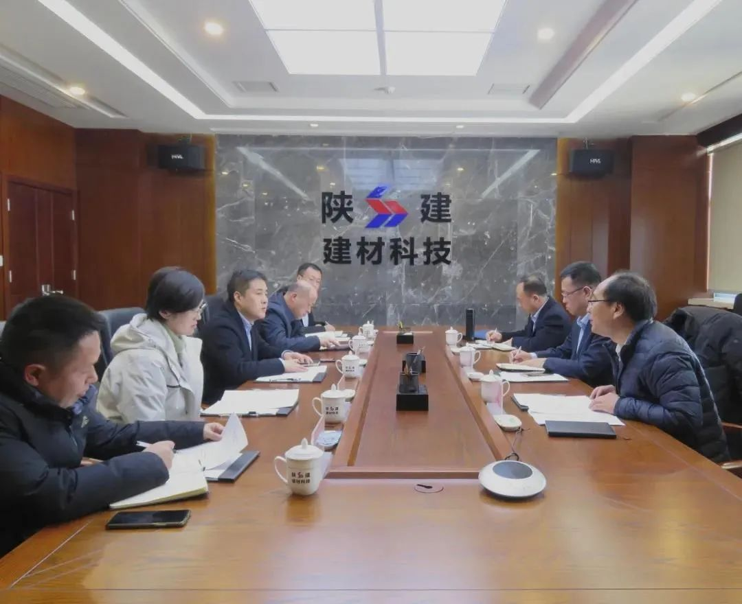 陜建產投集團黨委副書記、總經理吳常明一行到陜建建材科技公司調研指導工作